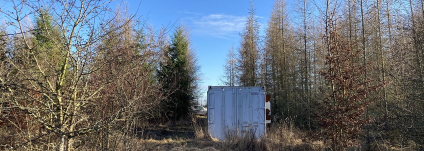 BIOTREE area near Mehrstedt on a bright day. You can see mostly defoliated, approx. 10 m high trees around the gray freight container, which contains the measurement technology, in front of a bright blue sky.