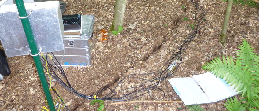 In the middle of the picture you can see forest floor with a cable trench and various cables running to a small measuring cabinet. Also visible are a Zarges box with a computer and an open file folder with occupancy plans, lying on the ground. At the right edge of the picture, a delicate green fern protrudes into the picture, otherwise one sees mainly thin bare tree trunks with a few individual leaves and brown ground covered with foliage.