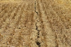 Climate change and arid soil,von Andrea Carri (verteilt über imaggeo.egu.eu)