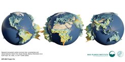 Ecosystem Carbon Decomposition Rate