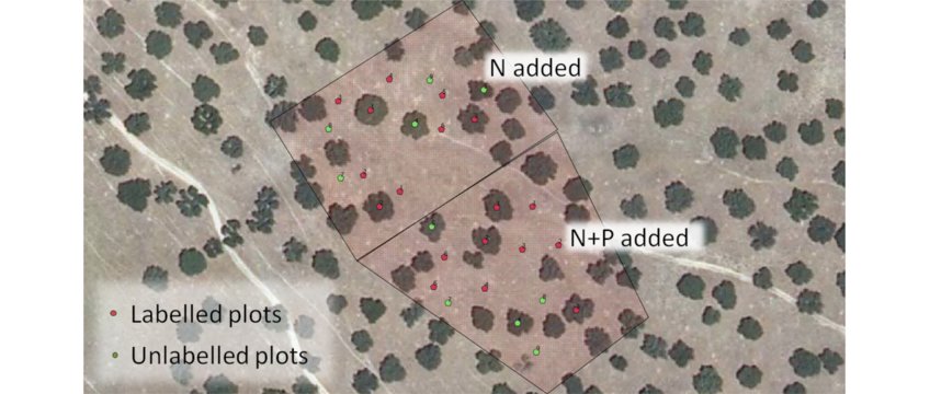 LFT: Long-term fate of N from fertilizer experiment LFT: Long-term fate of N from fertilizer experiment