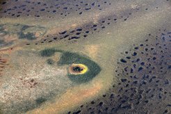 Die Hudson Bay Lowlands sind eine flache Landschaft, durch die sich Streifen mit vielen kleinen Seen und Tümpeln ziehen, wie in dieser Luftaufnahme zu sehen ist.