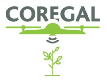 coregal