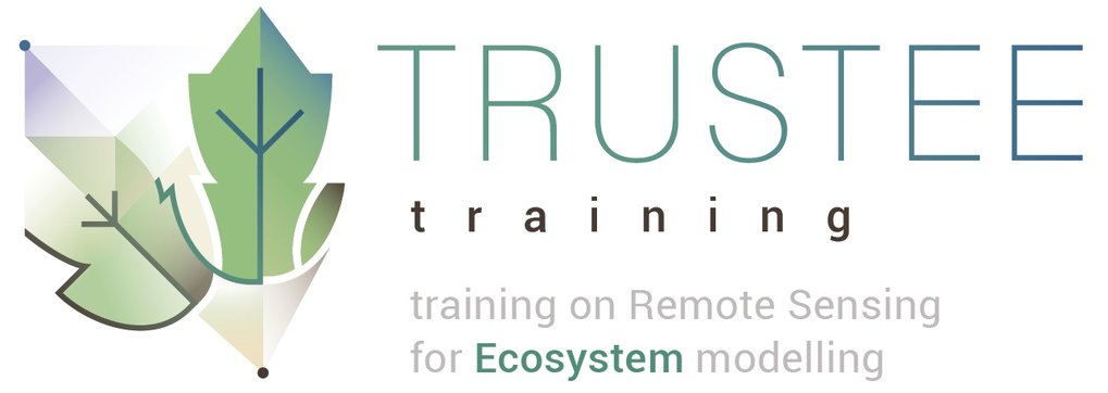 trustee