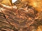 Moderne Stromatolithen in Shark Bay, Western Australia, und ein 3.4 Milliarden Jahre altes Pendant in Gesteinen des Pilbara Kratons. Diese Stromatolithen bieten eines der ältesten Nachweise für die Existenz von Leben im Archaikum.
