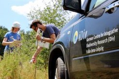iDiv-Wissenschaftler bei der Feldarbeit