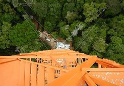 Blick hinunter vom ATTO-Turm (Bildautor: Karl Kübler)