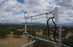 Feldstation des MPI-BGC: Majadas de Tietar in der spanischen Extremadura (© Istvan Hejja)