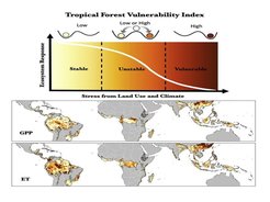 Empfindlichkeit tropischer Regenwälder (Bild: aus One Earth, 4, 7, p988-1003, 2021. ScienceDirect)