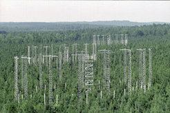 The FACE experimental setup (picture author: Yavor Parashkevov, Duke University)