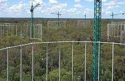 EucFACE Experiment with circular rings designed to deliver enriched air. (Picture: Western Sydney University)