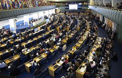 New global biodiversity goals are currently being negotiated. The photo shows the Open-ended Working Group on the Post-2020 Global Biodiversity Framework, Feb. 2020 in Rome. Photo: IISD/Mike Muzurakis (enb.iisd.org/biodiv/post2020/oewg/2/24feb.html)
