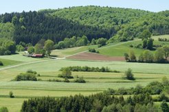 Scientists have found that the biodiversity in the soil of agricultural meadows and pastures is highest when they are surrounded by a lot of forest with old trees (in the picture: Schwäbische Alb). Photo: Peter Manning