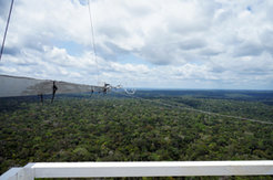 Blick auf den Amazonas Regenwald in Brasilien, einer riesigen Kohlenstoffsenke, vom ATTO-Klimamessturm (Foto: Jost Lavric)