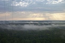 Regenwolken über dem Amazonaswald. Wissenschaftler fanden heraus, dass der Abwind von Niederschlag die Vorläufer der Wolkenkeime aus großen Höhen bis in die Luftschicht bringt, aus der Wolken entstehen. Bild: Jost V. Lavric