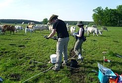 Gewinnung von Bodenproben auf landwirtschaftlich genutztem Grasland im Rahmen der Exploratorien zur funktionellen Biodiversitätsforschung (Copyright Alicia Geppert)