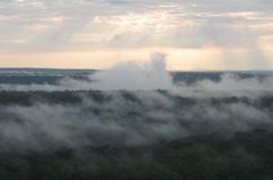 Blick vom ATTO-Turm auf den Regenwald, (c) Uwe Schultz, MPI-BGC