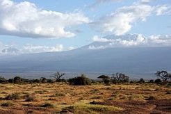 Charakteristische Trockenperioden im Wechsel mit ausgiebigen Regenzeiten prägen die Savanne, wie hier in Ostafrika. (Copyright Ulla Trampert / pixelio.de)