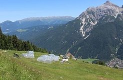Versuchsfläche in den Alpen / Research area in the Alps (© Stefan Karlowsky)