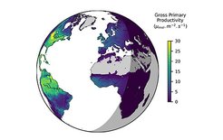 Die Graphik zeigt für den Zeitraum einer halben Stunde die CO2-Aufnahme der Vegetation durch Photosynthese auf der Erde. Im rechten Teil der Graphik symbolisiert der Schatten die Nacht, in der die lichtabhängige Photosynthese zum Erliegen kommt. (Graphik von Sujan Koirola, basierend auf Daten von Paul Bodesheim, Bildlizenz: CC BY 4.0)