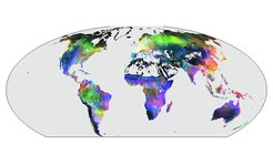 Klimagetriebener CO2-Austausch: Die spektralen Farbmischungen zeigen die Anomalien im CO2-Austausch an Land in El Nino -Jahren. Sie basieren auf FLUXNET-Daten, die mit Hilfe von maschinellem Lernen hochskaliert wurden. Strahlungsbedingte Anomalien sind rot, temperaturbedingte grün und wasserbedingte in blau dargestellt. (© Martin Jung)