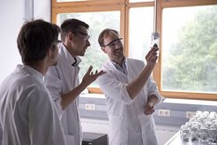 Das Team bespricht die Laboranalysen. (Bildautor: Tom Pringle)