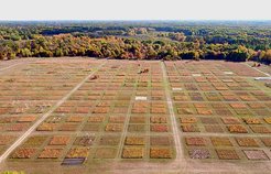 Luftaufnahme des BioDIV Experiments in Minnesota, USA, das im Rahmen der Studie neben dem Jena Experiment ebenfalls erforscht wurde. Copyright: Forest Isbell
