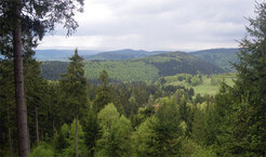 Blick auf den Südabhang des Thüringer Waldes. Das Mosaik einer kleinflächigen Bewirtschaftung ist deutlich erkennbar. (Bildautor: Ernst-Detlef Schulze)
