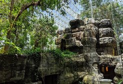 Im Inneren von Biosphere 2