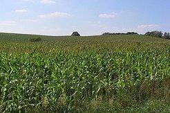 Wikimedia, Autor: Darkone; Creative Commons Attribution-Share Alike 2.0 Generic license
