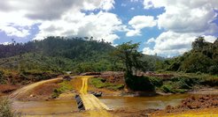Land use change: the clearing of tropical rainforests for plantation farming or agriculture.