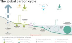 © Global Carbon Project