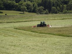 The biodiversity of agricultural meadows and pastures plays an important role for a variety of ecosystem services.