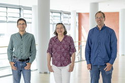 Direktorium des MPI für Biogeochemie