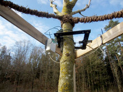 Sensorinstallation an einem „Modellbaum“ auf dem Institrutsgelände.