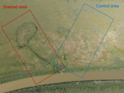 Aerial picture of the study site (© Photo by Martin Heimann, 2016).