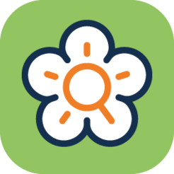 Flora incognita logo
