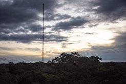 Die Rußmessungen wurden am Amazon Tall Tower Observatory (ATTO) im zentralen Amazonas gemacht.