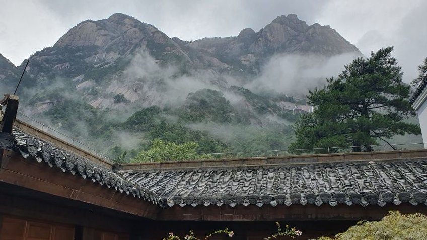 Blick übers Pagodendach Richtung nebelverhangener Berge in der Huangshan Region. Rechts im Bild ein größerer Nadelbaum.