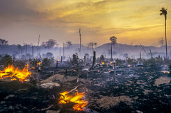Keine Dystopie: Trockenheit und Hitze im Amazonas begünstigen die Ausbreitung von Feuern. Die für den Sojaanbau freigewordenen Flächen wiederum begünstien Trockenheit und Hitze.