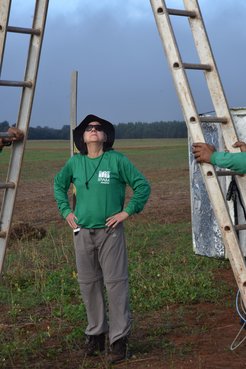 Person with green shirt standing in a field under a ladder