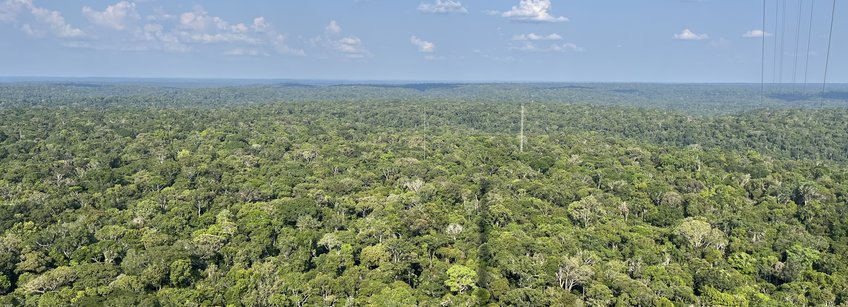 Blick vom großen 300m ATTO -Turm (Amazonian Tall Tower Observatory), der einen langen Schatten wirft, hinüber zum sogenannten Instant Turm, der ca 80 m hoch ist und dem Dreicksmast daneben. Grüner Regenwald in allen erdenklichen Grüntönen bis zum Horizont, dazwischen auch ein paar tote Bäume. Am blauen Himmel ziehen ein paar weiße Wolken und werfen hier und das Schatten auf den Dschungel, der aus dieser Höhe ewas an Brokkoli erinnert. 