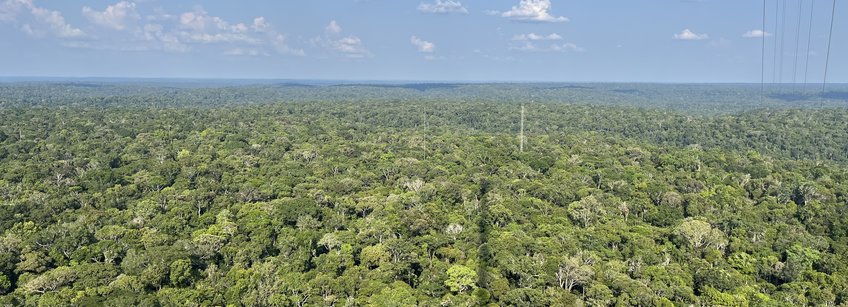 Viewover the Rainforest around ATTO (Amazinian Tall Tower Observatory) Blick vom großen 300m ATTO -Turm (Amazonian Tall Tower Observatory), der einen langen Schatten wirft, hinüber zum sogenannten Instant Turm, der ca 80 m hoch ist und dem Dreicksmast daneben. Grüner Regenwald in allen erdenklichen Grüntönen bis zum Horizont, dazwischen auch ein paar tote Bäume. Am blauen Himmel ziehen ein paar weiße Wolken und werfen hier und das Schatten auf den Dschungel, der aus dieser Höhe ewas an Brokkoli erinnert.