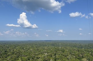 ATTO -  Amazonian Tall Tower Observatory in 2023