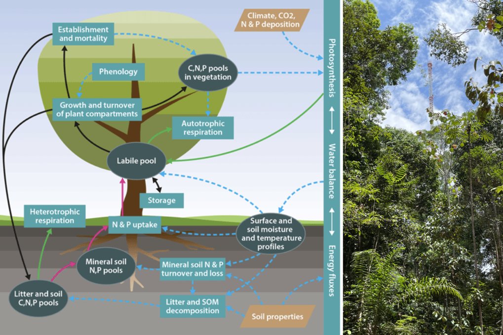 Terrestrische Biosphärenmodellierung (TBM)