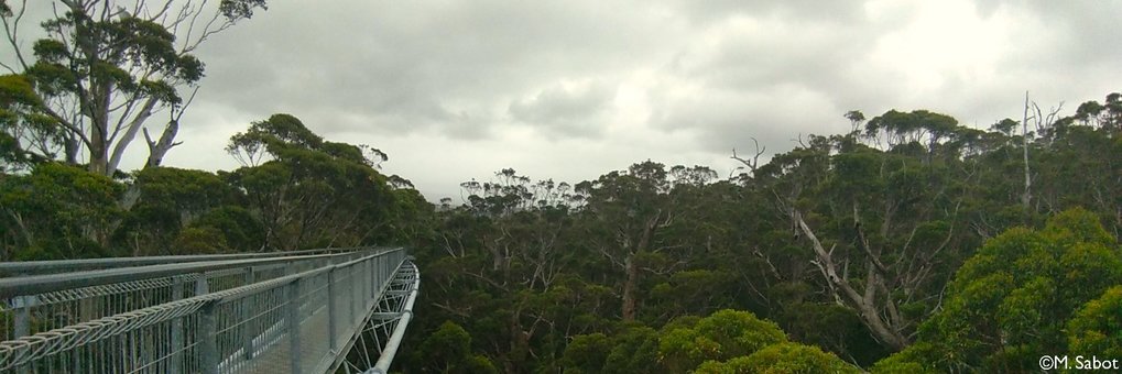 Climate and Plant Ecophysiology (CAPE)