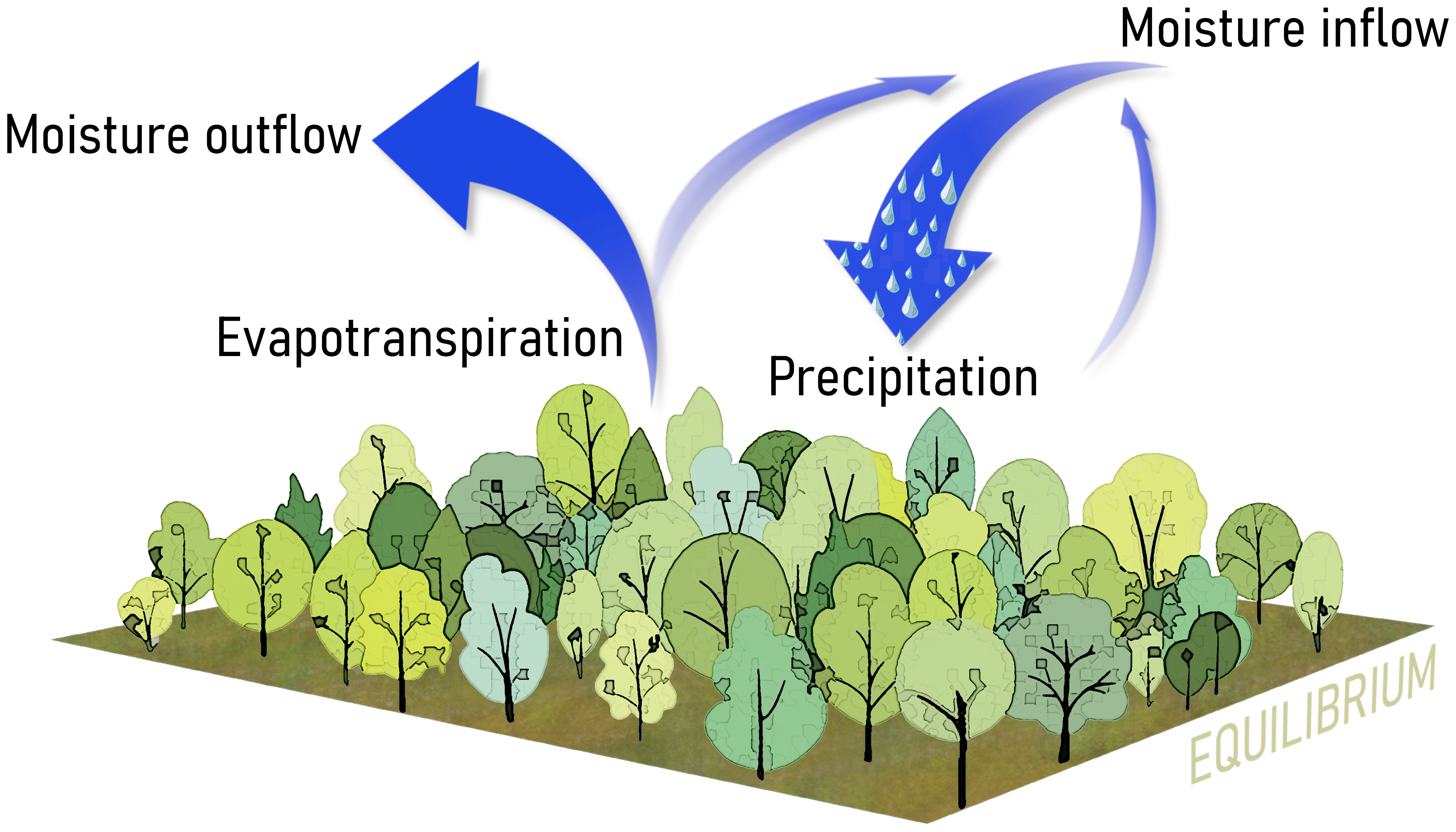 ©M. Sabot | Wechselwirkungen und Kaskadeneffekte im System Vegetation - Niederschlag. Die durch einen verringerten Zufluss von Luftfeuchtigkeit ausgelöste Austrocknung des Bodens verringert die lokale Evapotranspiration und damit den daraus resultierenden atmosphärischen Feuchtetransport, während gleichzeitig die lokale Temperatur und das Dampfdruckdefizit (VPD) ansteigen.