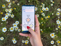 Plant identification with the Flora Incognita App.