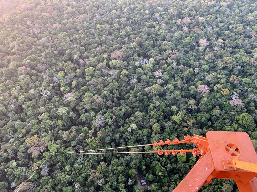 Atmosphere-Biosphere Signal Attribution in the Tropics