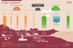 Visual representation of N2O budget, detailing sources and sinks, including agriculture, fossil fuels, and atmospheric changes.